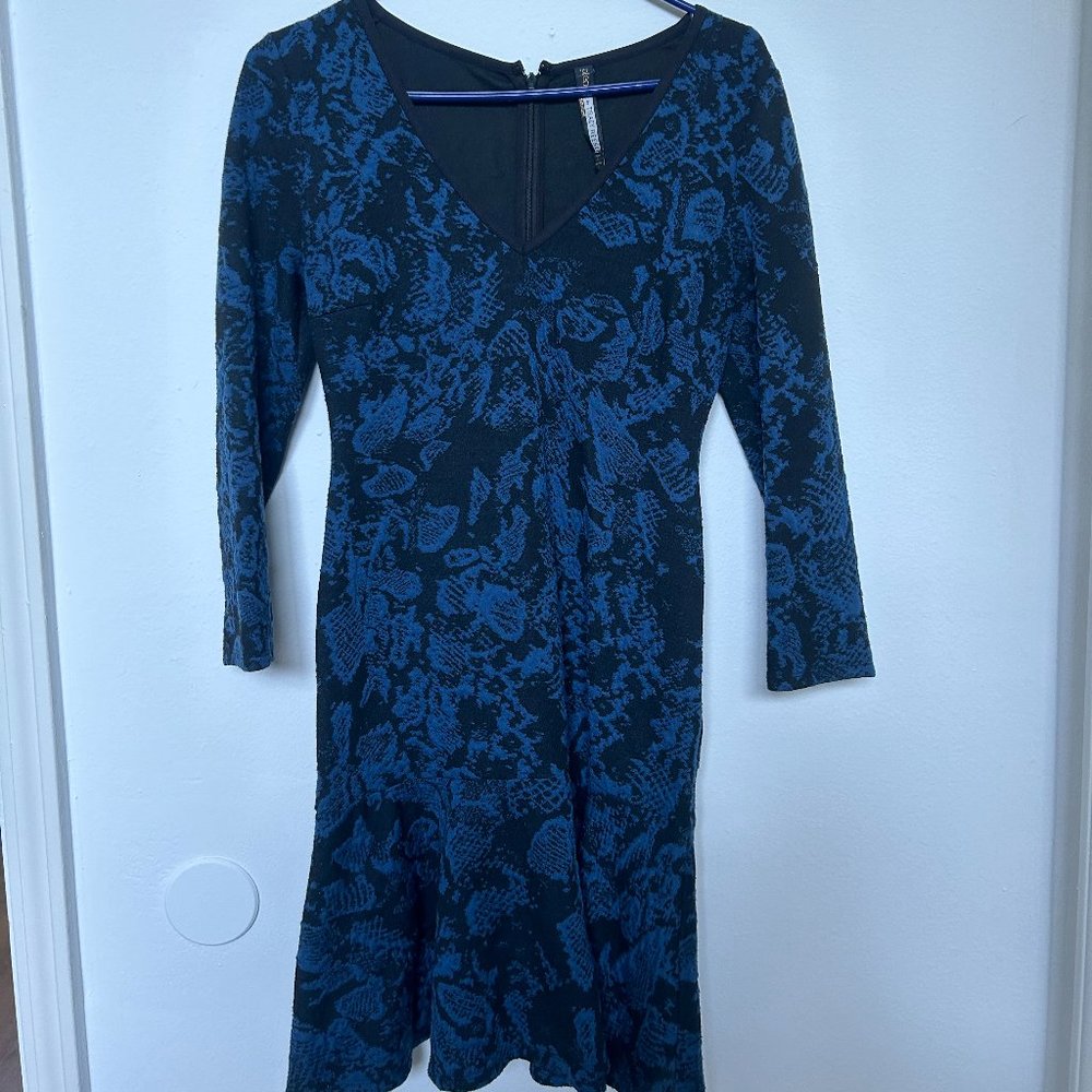 Blue/Black Dress